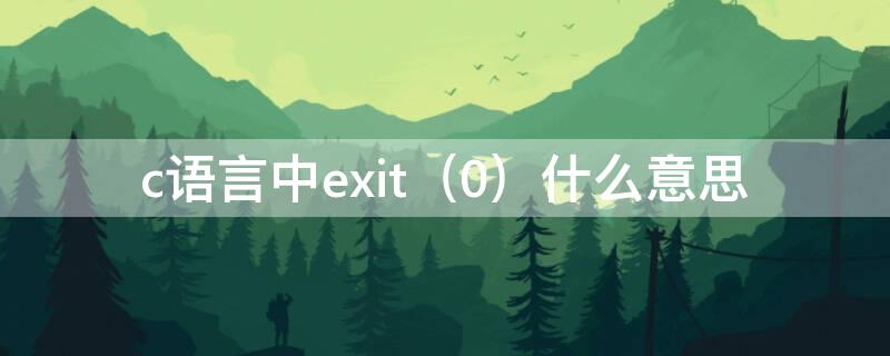 c语言中exit（0）什么意思