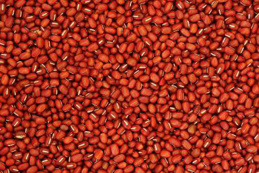 红豆怎么煮容易熟