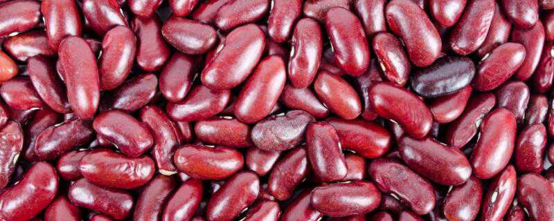 红豆可以生吃吗