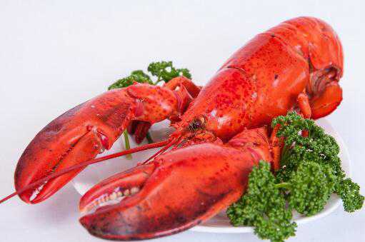 现在的红龙虾价格多少钱一斤 红龙虾一只多少钱