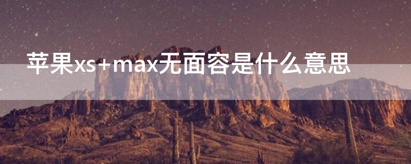 iPhonexs max无面容是什么意思