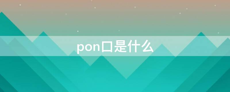 pon口是什么