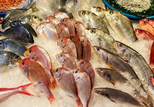现在罗非鱼价格多少钱一斤 罗非鱼多少钱一斤市场价格