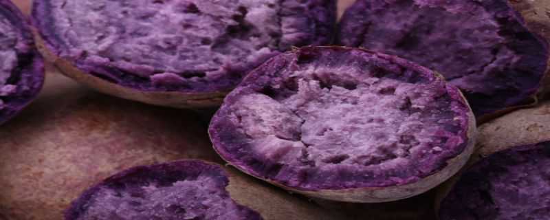 紫薯盆栽种植方法 紫薯盆栽种植方法和技术