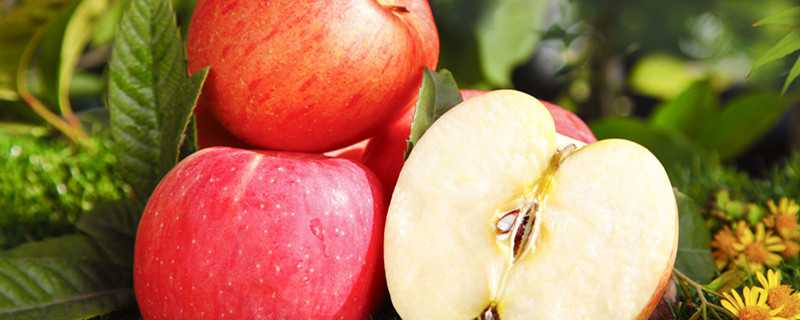 苹果褐斑病特效药有哪些 苹果褐斑病用药