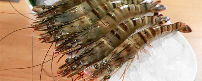 对虾空肠空胃一般能持续多长时间 虾空肠空胃怎样处理