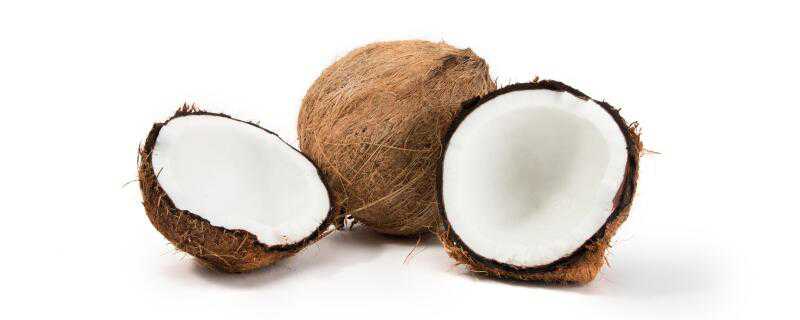 椰子是什么季节的水果 椰子是什么季节的水果?