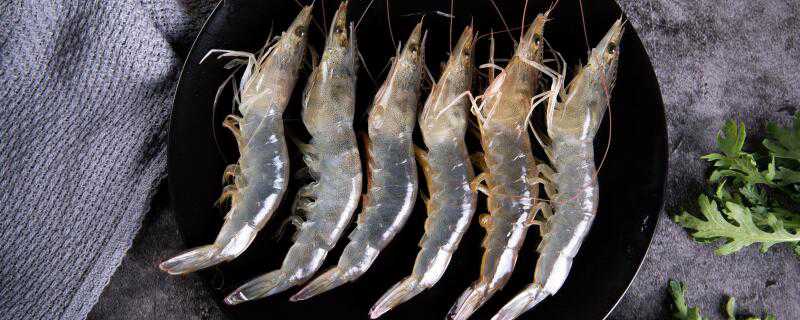基围虾养殖技术条件 基围虾养殖技术条件条件
