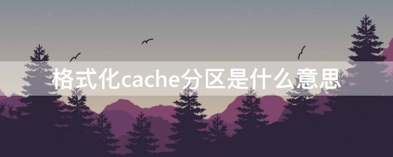 格式化cache分区是什么意思