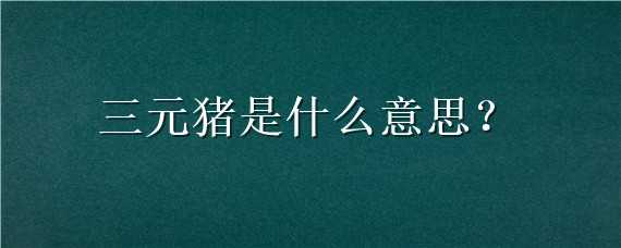 三元猪是什么意思 一元猪二元猪三元猪是什么意思