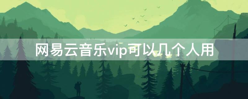 网易云音乐vip可以几个人用（网易音乐会员可以同时几个人用）