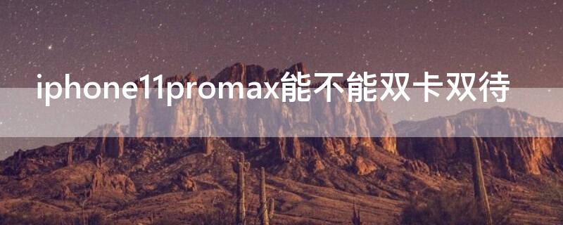 iPhone11promax能不能双卡双待（iphone11pro max支持双卡双待吗）