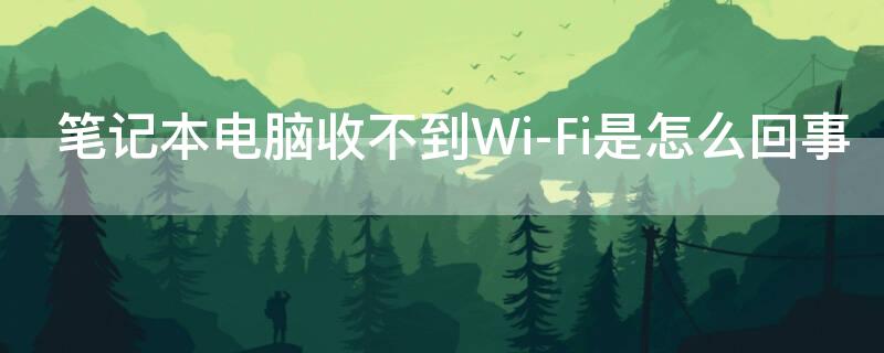 笔记本电脑收不到Wi-Fi是怎么回事 笔记本没看到Wi-Fi怎么办