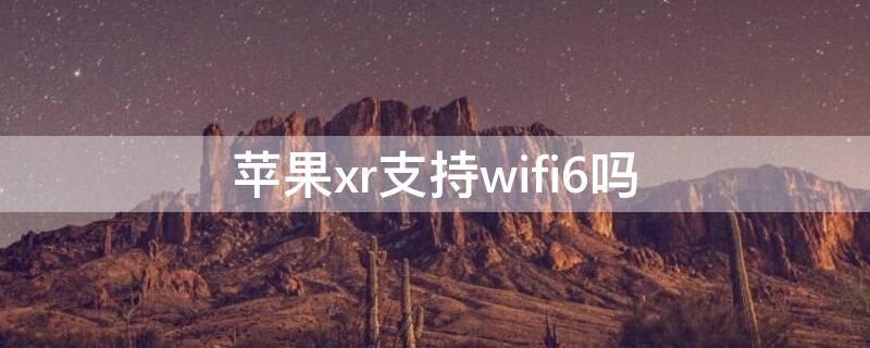 iPhonexr支持wifi6吗（iPhonex支持wifi6吗）