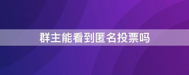 群主能看到匿名投票吗（群里匿名投票群主能查出来是谁吗）