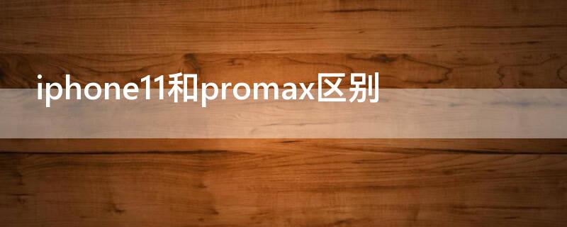 iPhone11和promax区别（iphone 11和11 promax有什么区别）