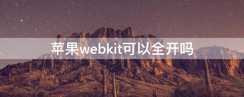 iPhonewebkit可以全开吗 iphone高级webkit设置