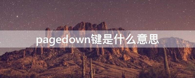 pagedown键是什么意思 pagedown键是什么意思在笔记本那个位置