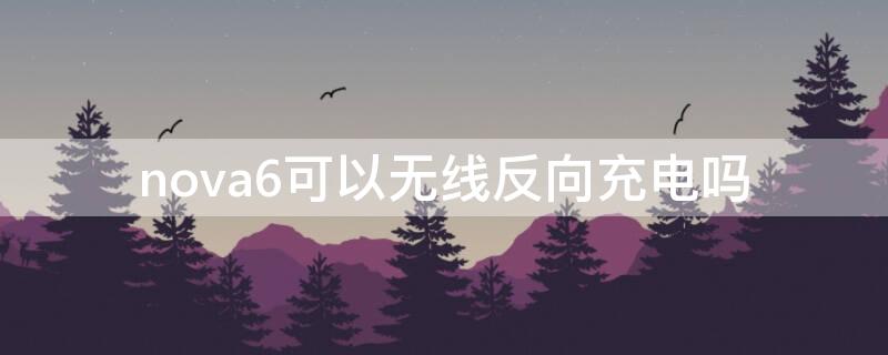 nova6可以无线反向充电吗 nova6支持反向无线充电吗