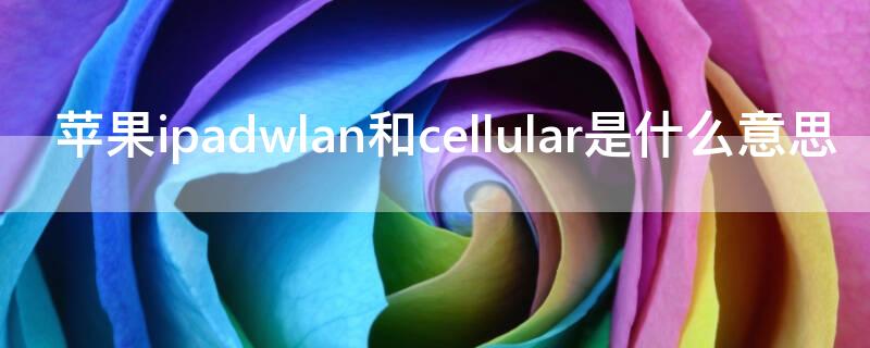 iPhoneipadwlan和cellular是什么意思 苹果ipad wlan+cellular是什么意思