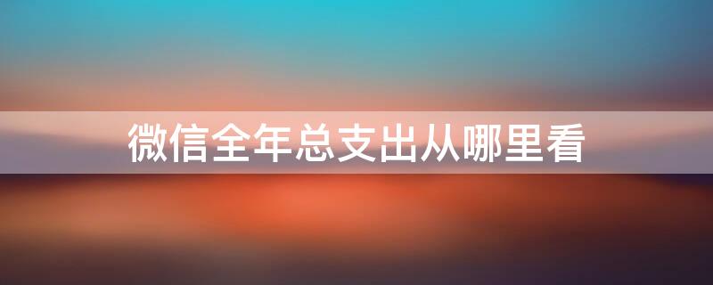 微信全年总支出从哪里看（微信全年支出在哪里看）