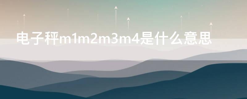 电子秤m1m2m3m4是什么意思（电子秤上的m1m2m3是干什么的）