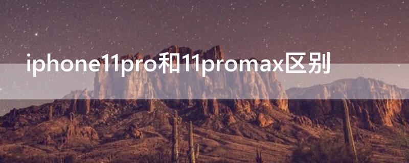 iPhone11pro和11promax区别（iphone11pro和iphone11promax区别）