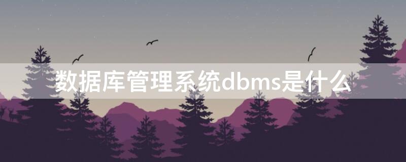 数据库管理系统dbms是什么 数据库管理系统dbms是什么软件