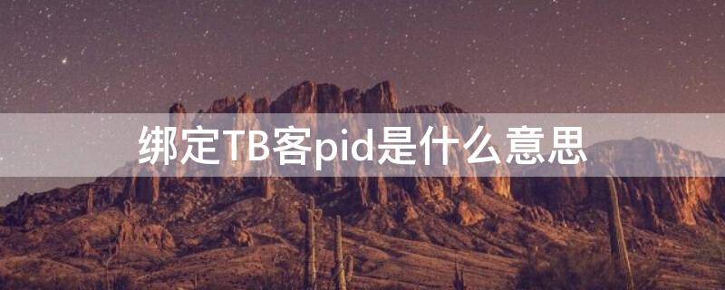 绑定TB客pid是什么意思