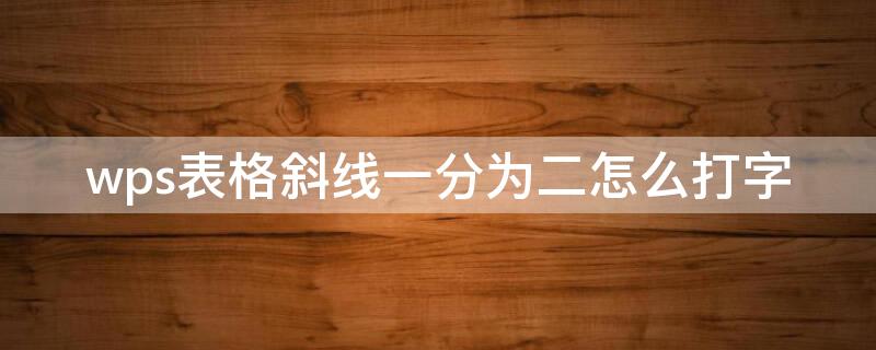 wps表格斜线一分为二怎么打字 wps表格里斜线怎么打字