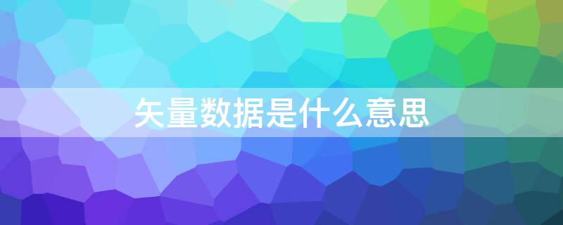 矢量数据是什么意思 项目矢量数据是什么意思