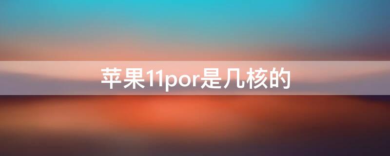 iphone12是几核的 iPhone11por是几核的