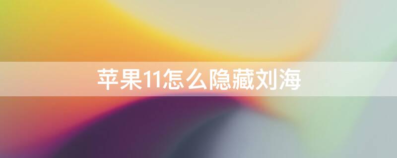 iPhone11怎么隐藏刘海（iphone 11怎么隐藏刘海）