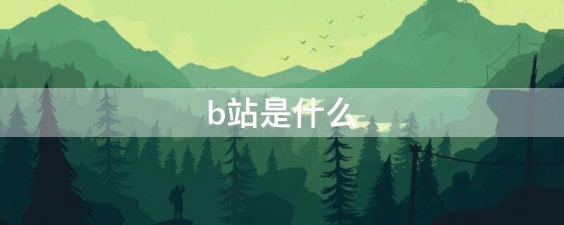 b站是什么 b站是什么时候出现的