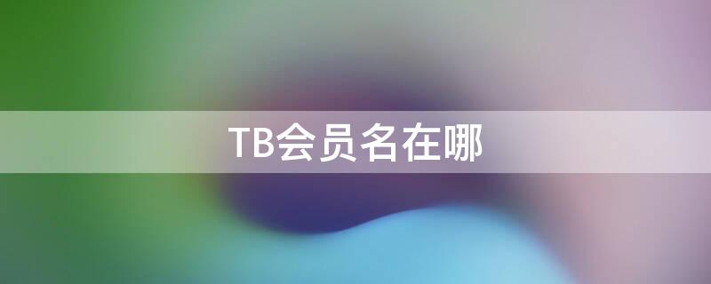 TB会员名在哪（tb怎么改会员名字）