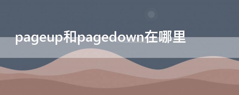 pageup和pagedown在哪里（pageup/pagedown在哪）
