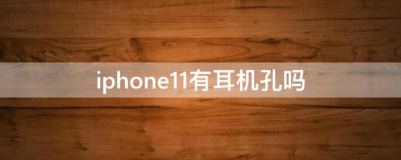 iPhone11有耳机孔吗 iphone11有耳机插孔吗