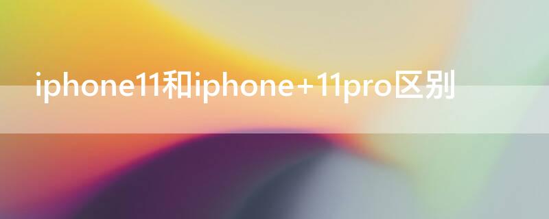 iPhone11和iPhone iphone11和iphone12尺寸一样吗