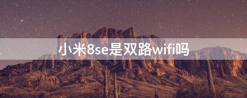 小米8se是双路wifi吗（小米8se支持双频wifi吗）