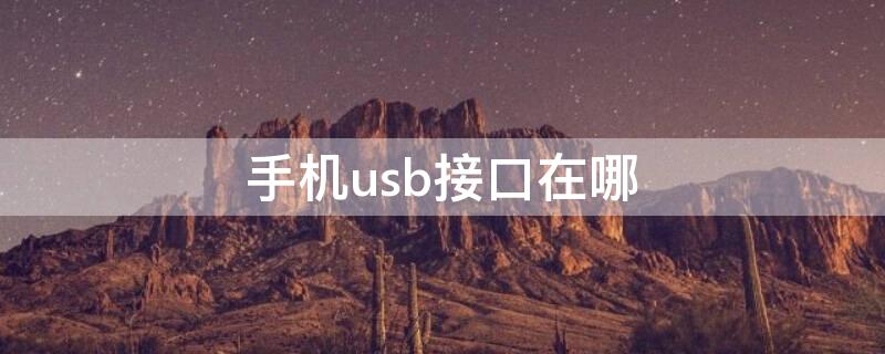 手机usb接口在哪（手机USB接口在哪设置）