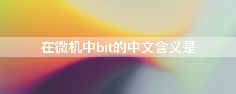 在微机中bit的中文含义是