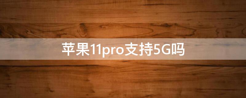 iPhone11pro支持5G吗（iphone11pro 支持5g吗）