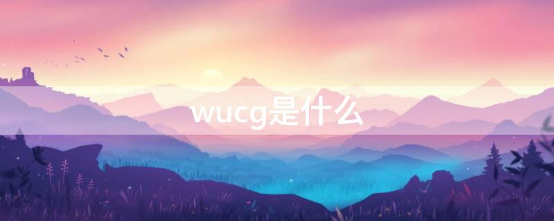 wucg是什么（wucg是什么耳机）