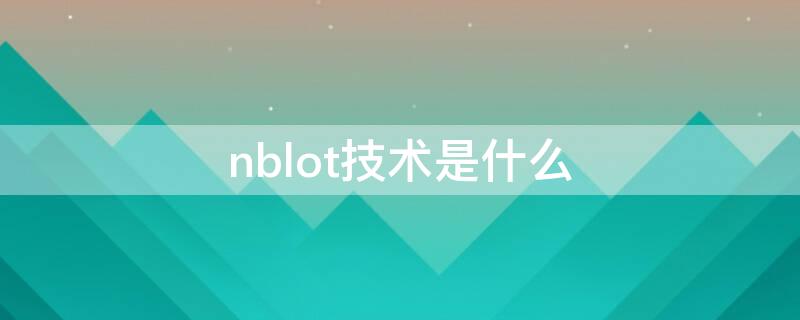 nblot技术是什么（nblot技术原理）