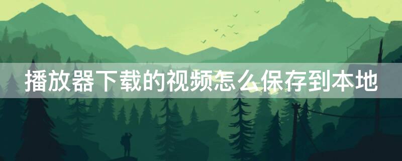 播放器下载的视频怎么保存到本地（播放器下载的视频怎么保存到本地文件）