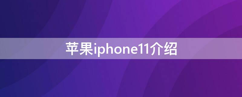 iPhoneiPhone11介绍（苹果11简单介绍）