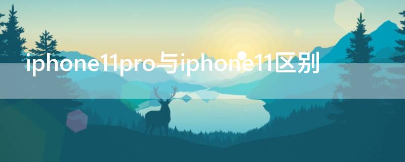 iPhone11pro与iPhone11区别（iphone11pro跟iphone11的区别）