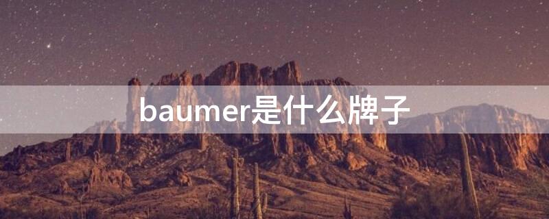 baumer是什么牌子（baumer是什么牌子相机）