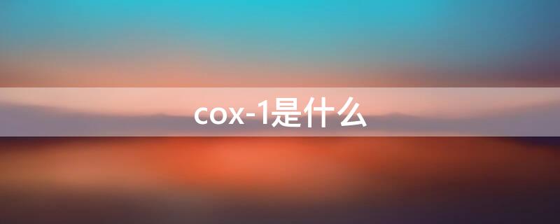 cox-1是什么 cox1是什么