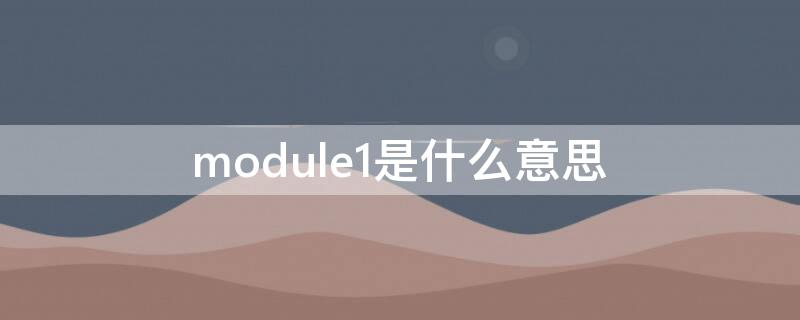 module1是什么意思（modules什么意思）